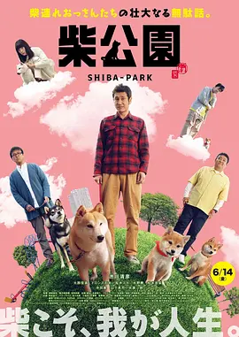 www.爽