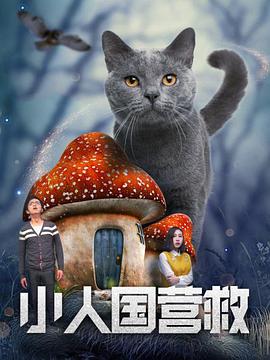 性姿势视频
