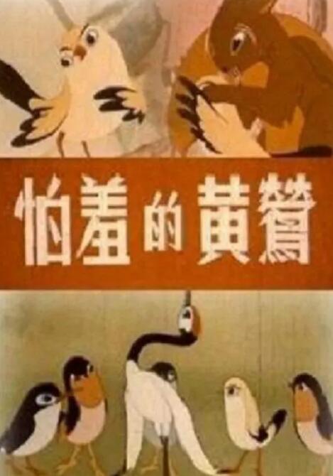 青娱乐精品视频在线