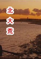 老司机成人免费精品视频