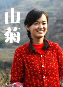 盗花野史