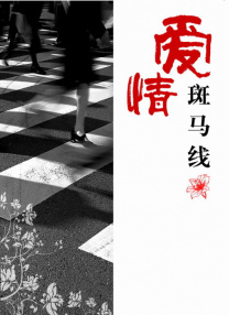 国内精品视频在线观看