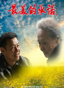 天天视频在线观看免费完整