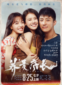 综合网婷婷