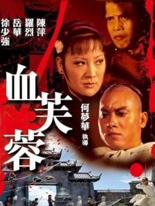 被强迫的爱人