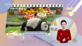 欧美日韩在线看
